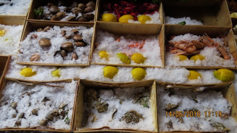 Калининград-Литва-Бельгия: путешествие с земли прусской, к пивным берегам Европы.