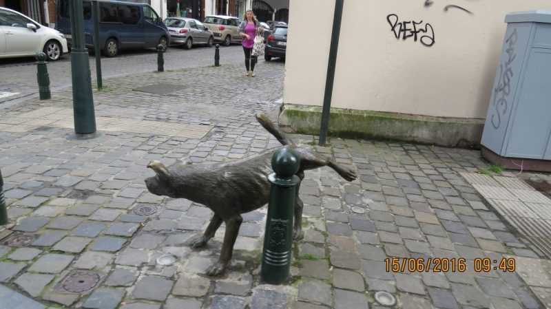 Калининград-Литва-Бельгия: путешествие с земли прусской, к пивным берегам Европы.