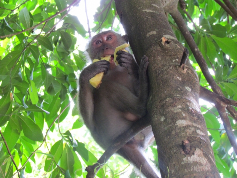 Мой первый Тай или верните меня обратно и навсегда!