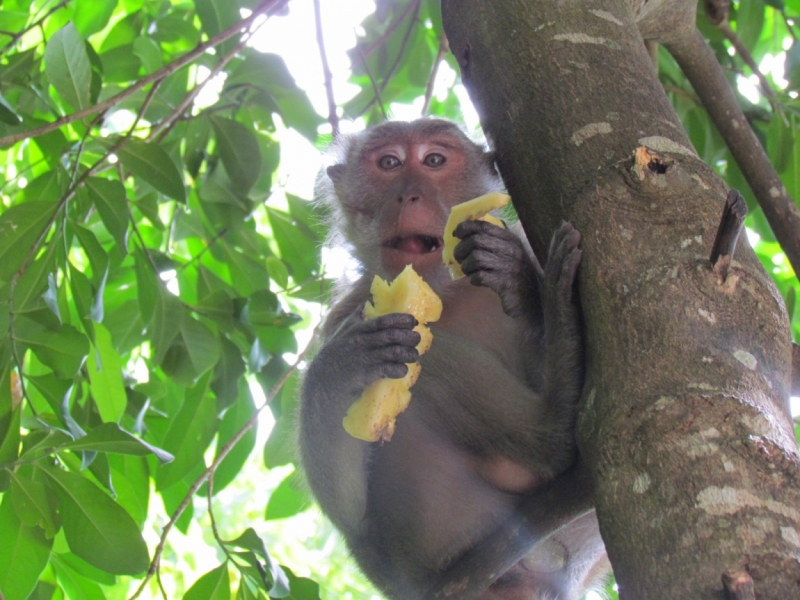 Мой первый Тай или верните меня обратно и навсегда!