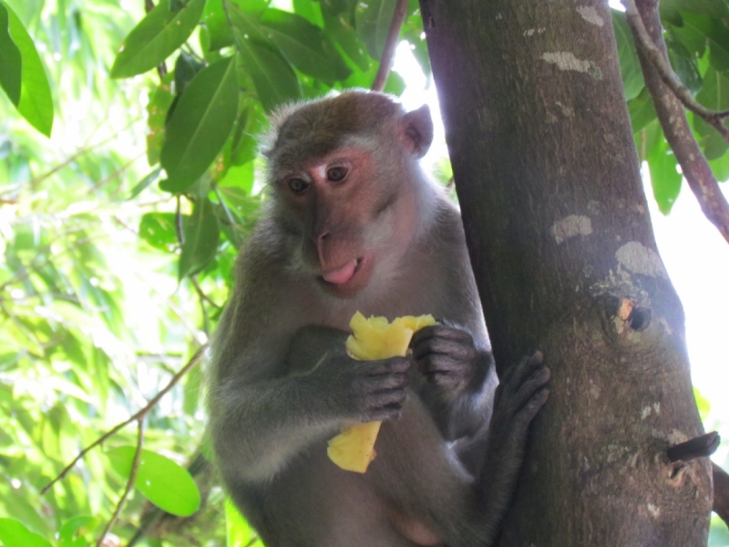 Мой первый Тай или верните меня обратно и навсегда!