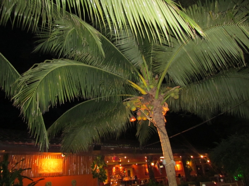 Мой первый Тай или верните меня обратно и навсегда!