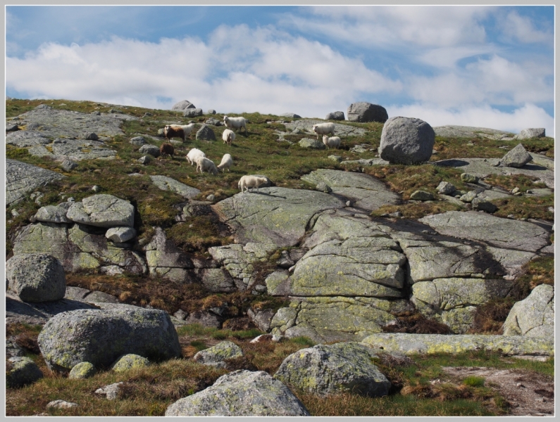 Центральная, западная и южная Норвегия. На машине, с ребенком и палаткой. Июль 2015.