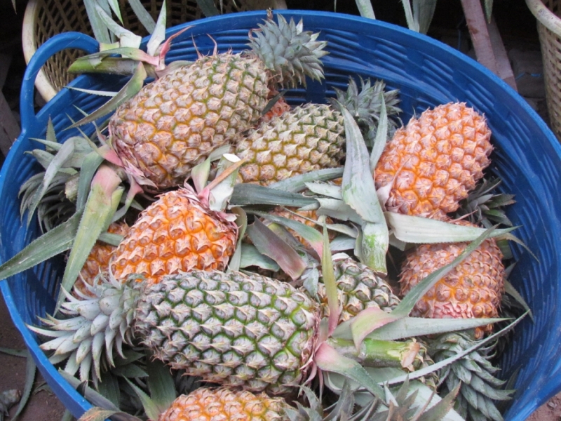 Мой первый Тай или верните меня обратно и навсегда!