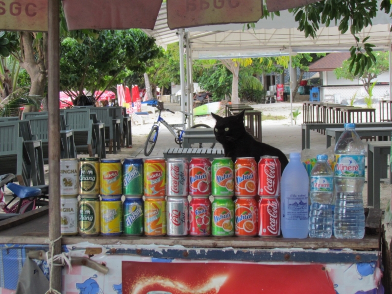 Мой первый Тай или верните меня обратно и навсегда!