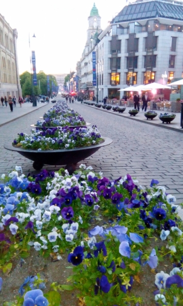 66 часов в Норвегии первый раз, 30 км пешком - и я в плену водопадов, фьордов