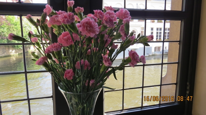 Калининград-Литва-Бельгия: путешествие с земли прусской, к пивным берегам Европы.