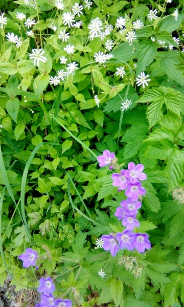 66 часов в Норвегии первый раз, 30 км пешком - и я в плену водопадов, фьордов