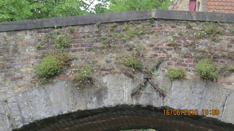 Калининград-Литва-Бельгия: путешествие с земли прусской, к пивным берегам Европы.