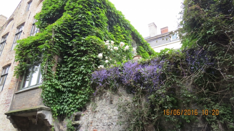 Калининград-Литва-Бельгия: путешествие с земли прусской, к пивным берегам Европы.