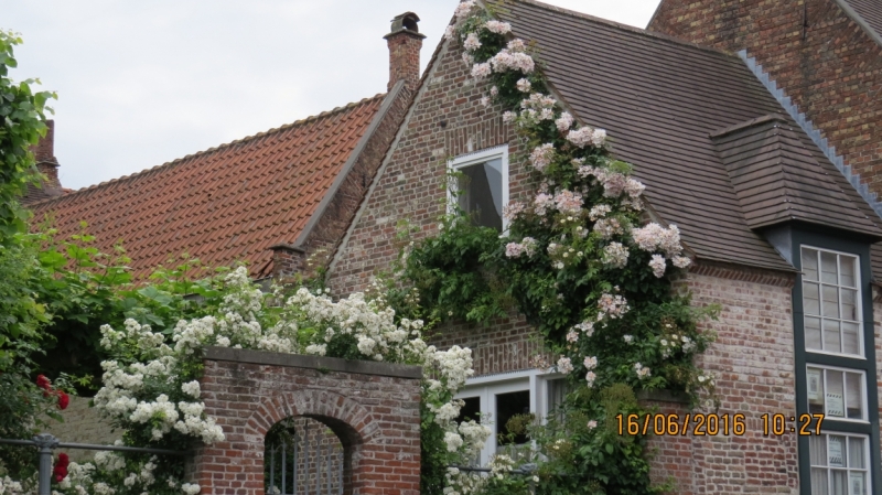 Калининград-Литва-Бельгия: путешествие с земли прусской, к пивным берегам Европы.