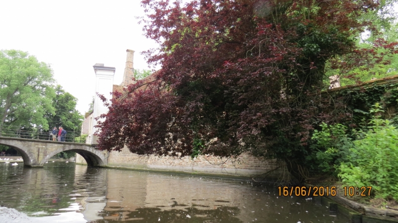 Калининград-Литва-Бельгия: путешествие с земли прусской, к пивным берегам Европы.