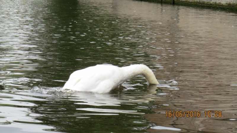 Калининград-Литва-Бельгия: путешествие с земли прусской, к пивным берегам Европы.