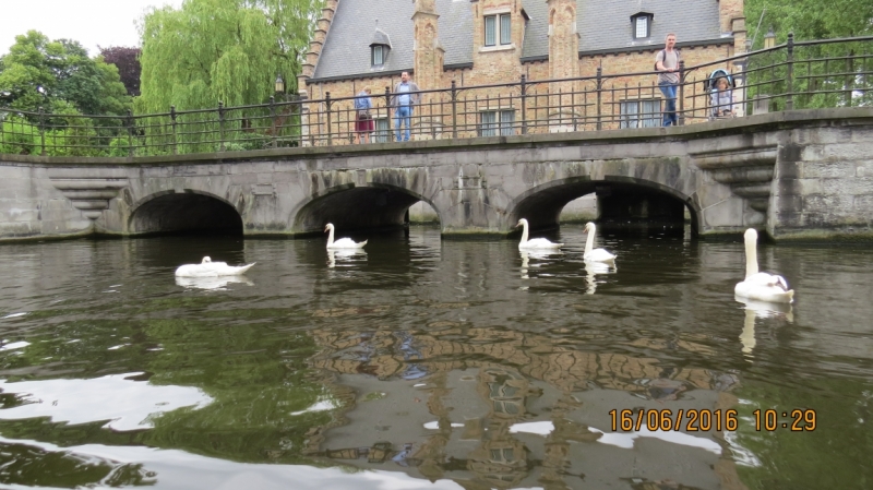 Калининград-Литва-Бельгия: путешествие с земли прусской, к пивным берегам Европы.