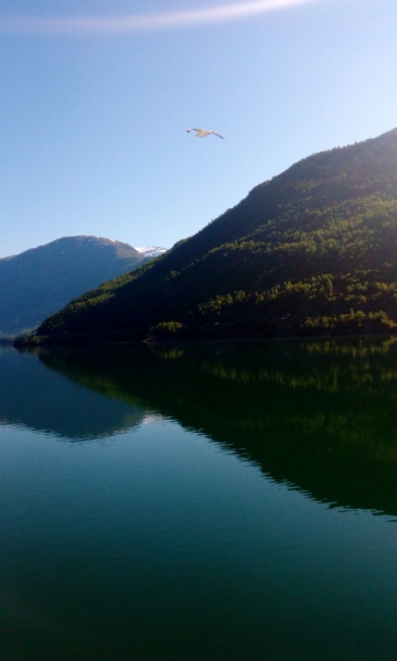 66 часов в Норвегии первый раз, 30 км пешком - и я в плену водопадов, фьордов