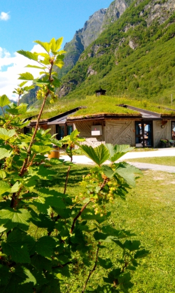 66 часов в Норвегии первый раз, 30 км пешком - и я в плену водопадов, фьордов