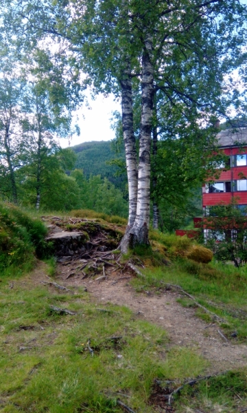 66 часов в Норвегии первый раз, 30 км пешком - и я в плену водопадов, фьордов