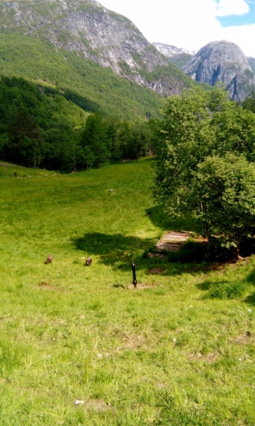 66 часов в Норвегии первый раз, 30 км пешком - и я в плену водопадов, фьордов