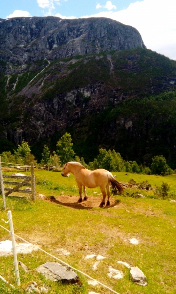 66 часов в Норвегии первый раз, 30 км пешком - и я в плену водопадов, фьордов