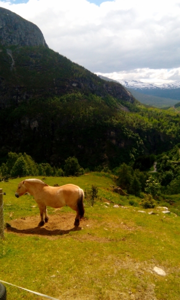 66 часов в Норвегии первый раз, 30 км пешком - и я в плену водопадов, фьордов