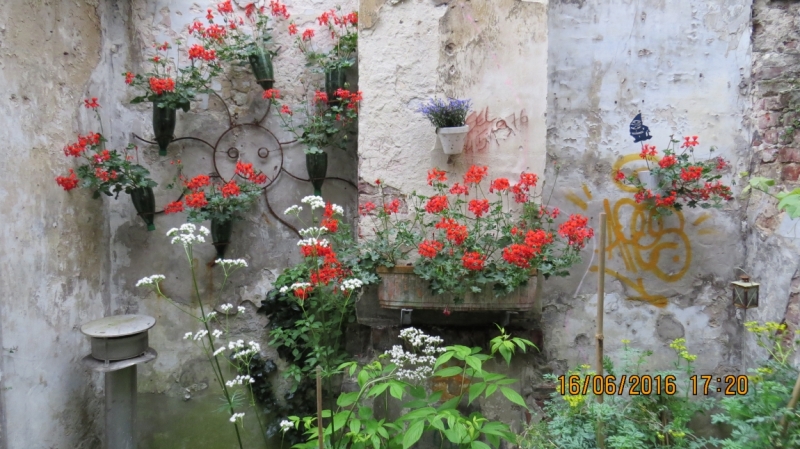 Калининград-Литва-Бельгия: путешествие с земли прусской, к пивным берегам Европы.