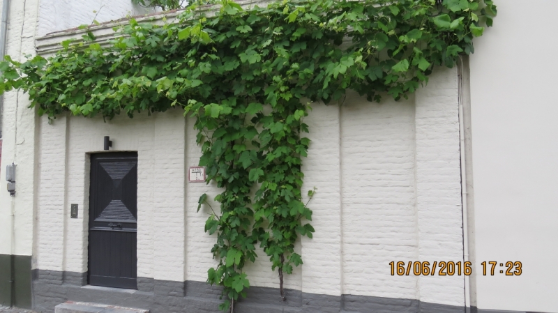 Калининград-Литва-Бельгия: путешествие с земли прусской, к пивным берегам Европы.