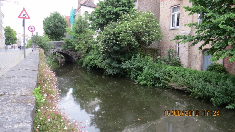 Калининград-Литва-Бельгия: путешествие с земли прусской, к пивным берегам Европы.