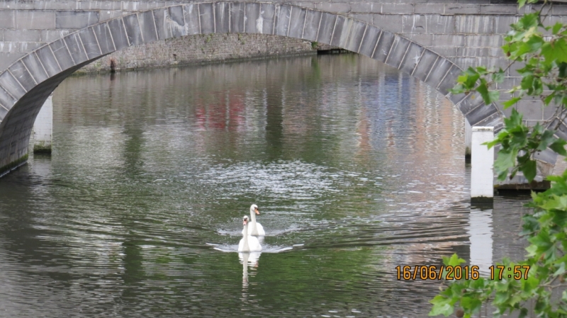 Калининград-Литва-Бельгия: путешествие с земли прусской, к пивным берегам Европы.