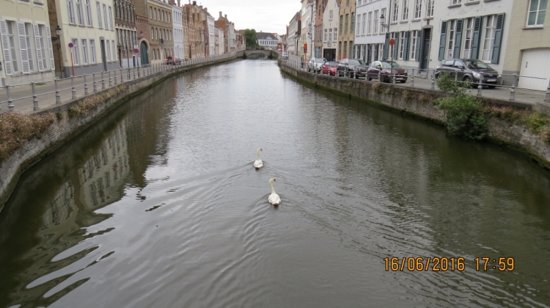 Калининград-Литва-Бельгия: путешествие с земли прусской, к пивным берегам Европы.