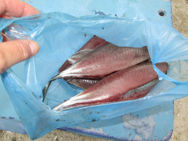 Можно запалить мангал на Мальдивах?