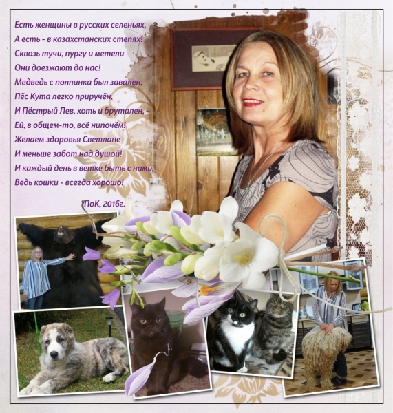 Поговорим о кошках40