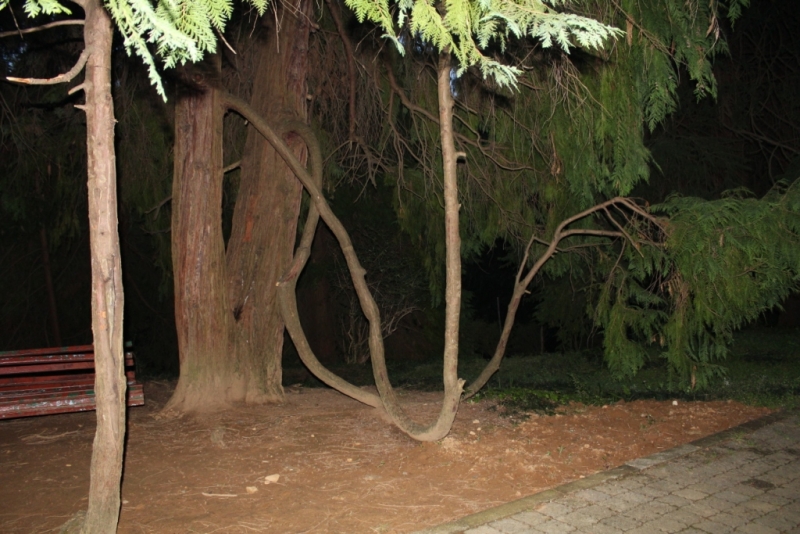 Я, рюкзак и Грузия