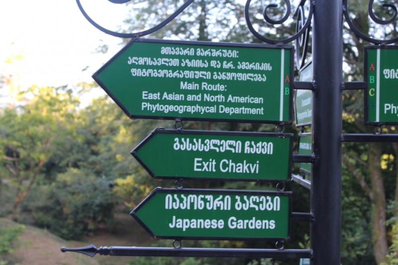 Я, рюкзак и Грузия