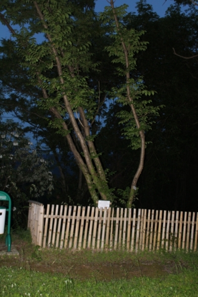 Я, рюкзак и Грузия