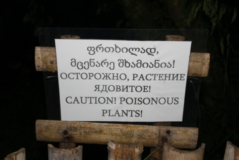 Я, рюкзак и Грузия