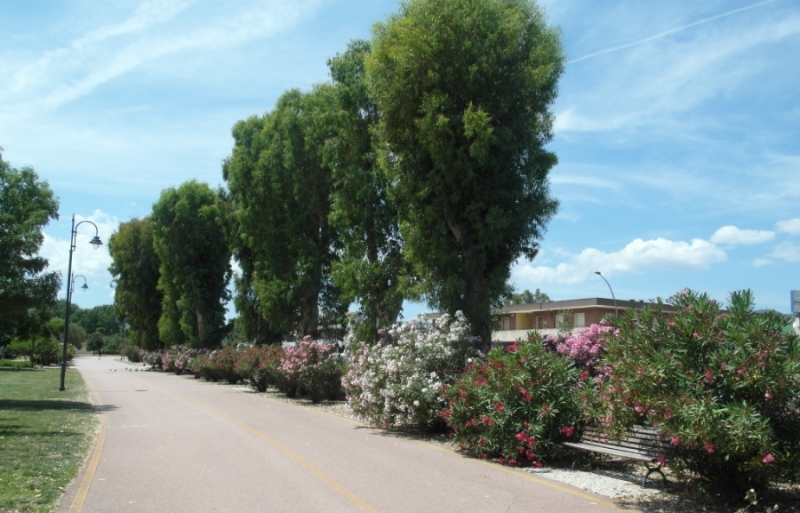 Круизный порт Ольбия (Olbia), Италия