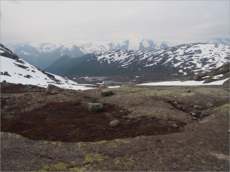 Центральная, западная и южная Норвегия. На машине, с ребенком и палаткой. Июль 2015.