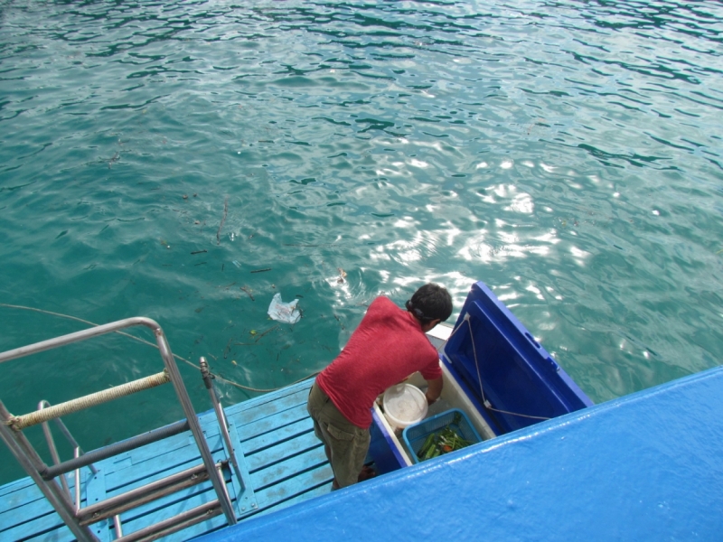 Мой первый Тай или верните меня обратно и навсегда!