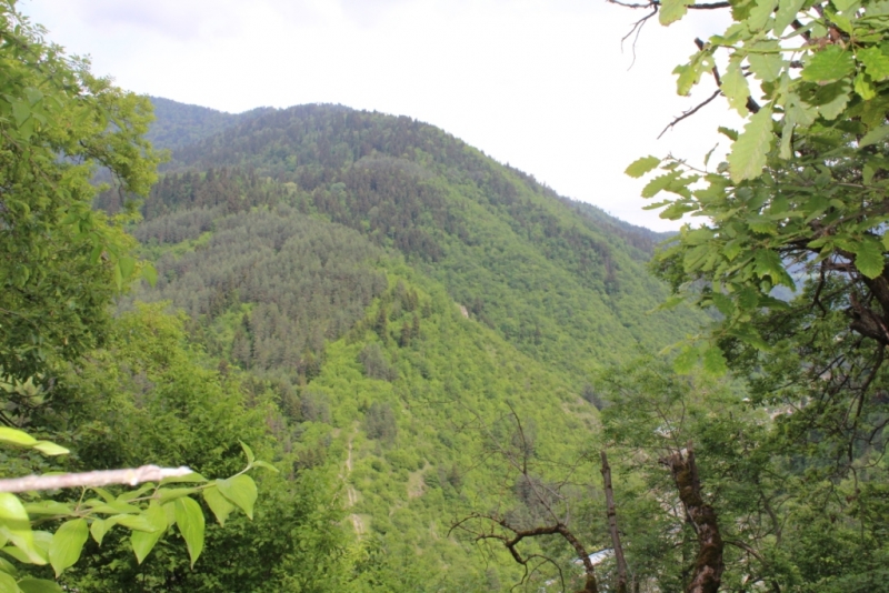 Я, рюкзак и Грузия