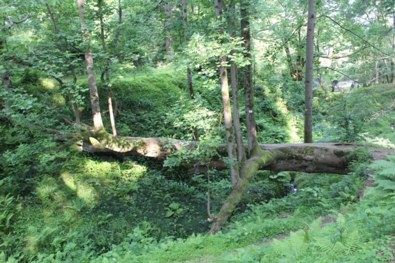 Я, рюкзак и Грузия