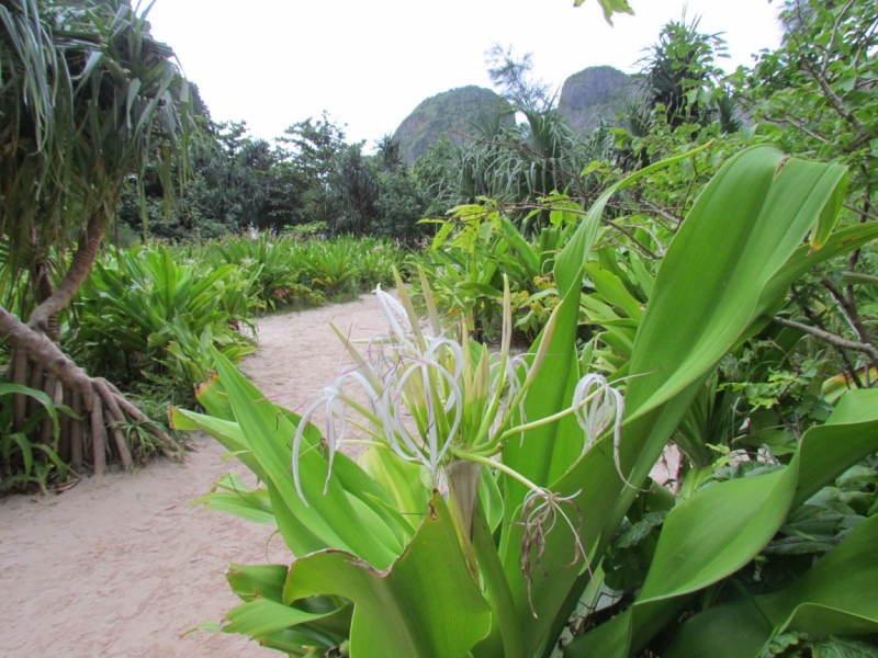 Мой первый Тай или верните меня обратно и навсегда!