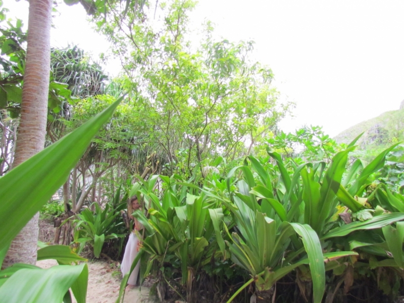 Мой первый Тай или верните меня обратно и навсегда!