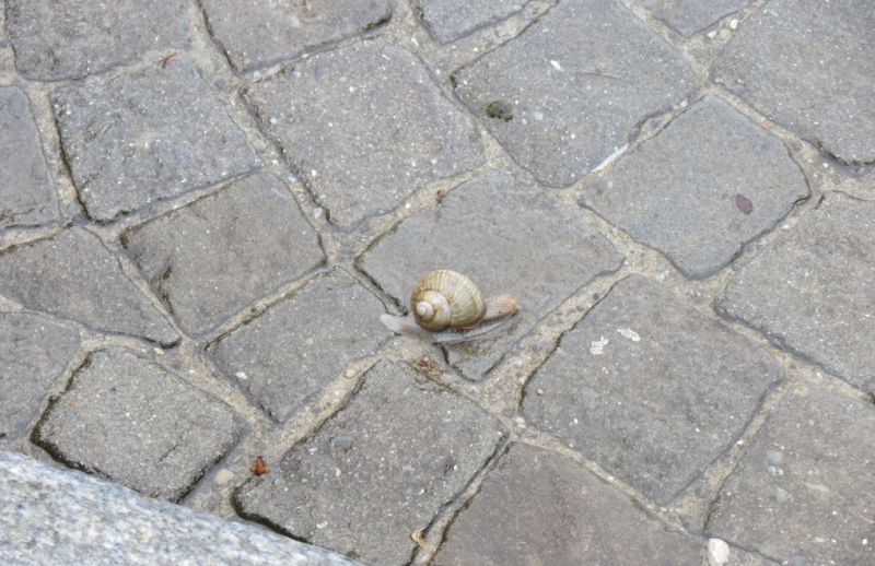 Швейцария по шпаргалке. 11-19 мая 2016.