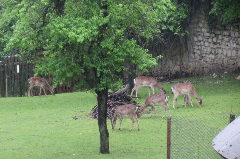 Швейцария по шпаргалке. 11-19 мая 2016.
