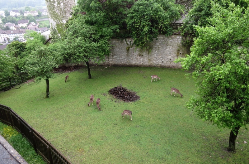 Швейцария по шпаргалке. 11-19 мая 2016.