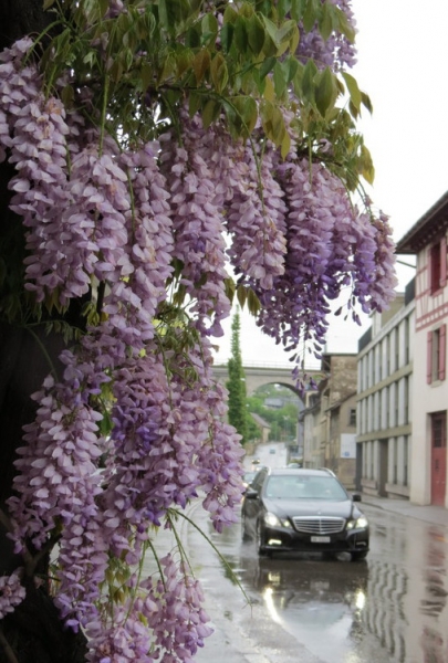 Швейцария по шпаргалке. 11-19 мая 2016.