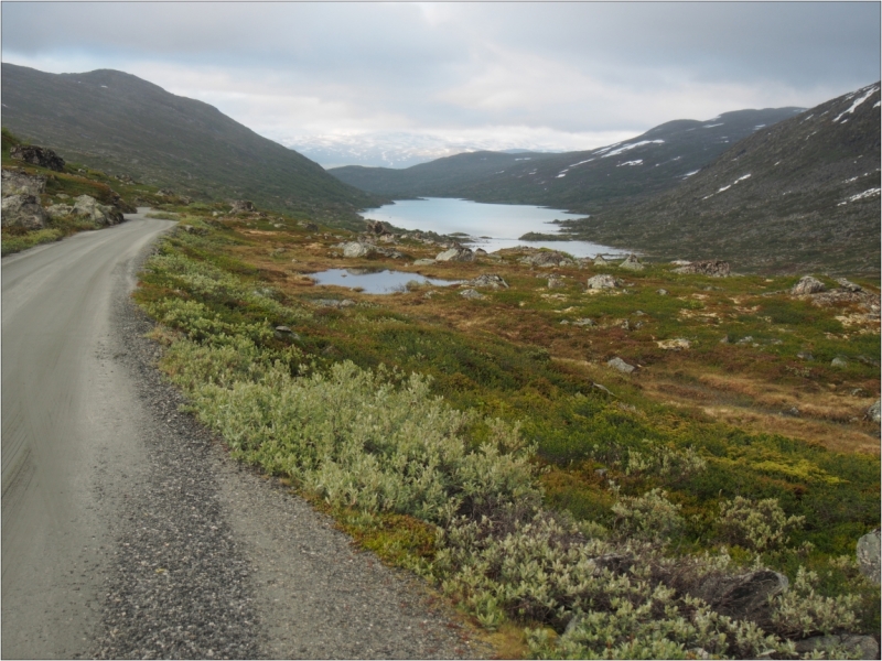 Центральная, западная и южная Норвегия. На машине, с ребенком и палаткой. Июль 2015.