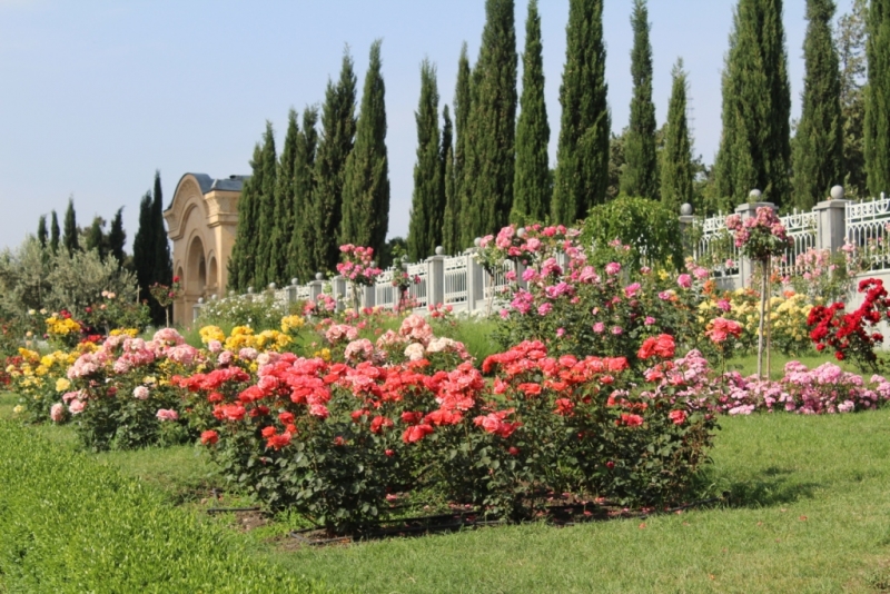 Я, рюкзак и Грузия