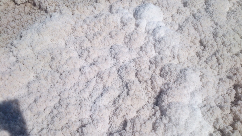 США с Востока на Запад: через горы, пляжи и песочницу