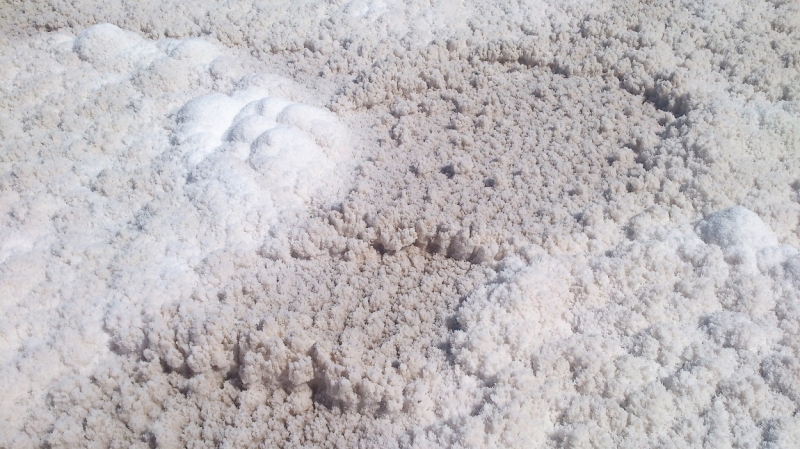 США с Востока на Запад: через горы, пляжи и песочницу